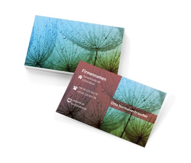 Regenpusteblumen, Motive, Pflanzlich - Visitenkarten Netprint Online Vorlagen