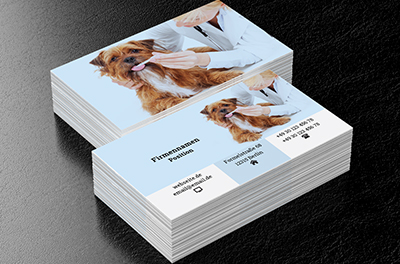 Hund beim Tierarzt, Umwelt und Natur, Tierklinik - Visitenkarten Netprint