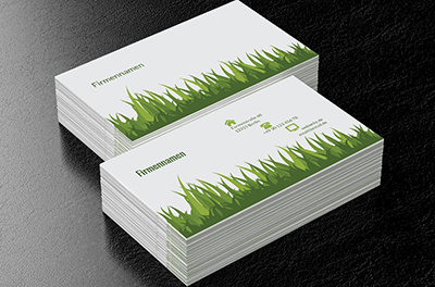 Ungebundenes Gras, Umwelt und Natur, Gartendienstleistungen - Visitenkarten Netprint