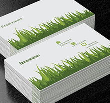 Ungebundenes Gras, Umwelt und Natur, Gartendienstleistungen - Visitenkarten Netprint