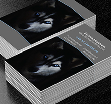 Wolfs Appetit auf Erfolg, Motive, Tiere - Visitenkarten Netprint