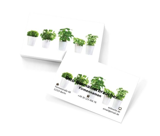 Blumentöpfe auf einem weißen Hintergrund, Motive, Pflanzlich - Visitenkarten Netprint Online Vorlagen