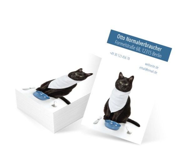 Katze auf einem weißen Hintergrund, Motive, Tiere - Visitenkarten Netprint Online Vorlagen