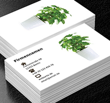 Kräuter in einem Topf, Umwelt und Natur, Gartendienstleistungen - Visitenkarten Netprint