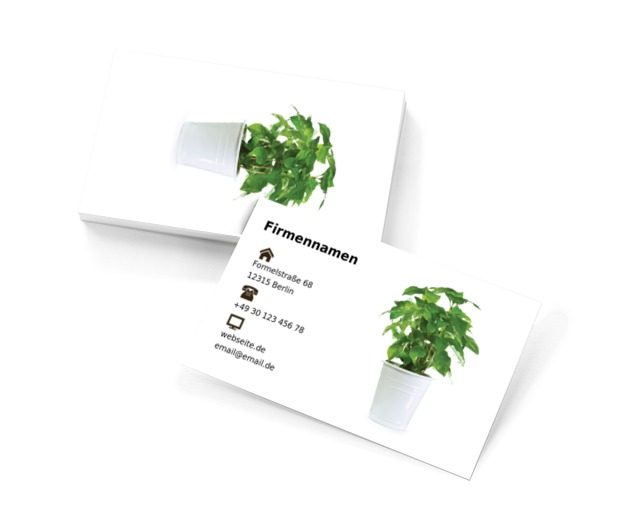 Kräuter in einem Topf, Umwelt und Natur, Gartendienstleistungen - Visitenkarten Netprint Online Vorlagen