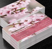 Die Kraft floristischer Perfektion, Umwelt und Natur, Blumenladen - Visitenkarten Netprint