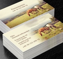Visitenkarte als Einladung, Umwelt und Natur, Dienstleistungen für Tiere - Visitenkarten Netprint
