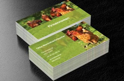 Eier von unseren gesunden Hühnern, Umwelt und Natur, Tierhaltung - Visitenkarten Netprint