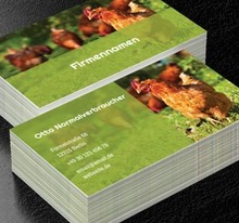 Eier von unseren gesunden Hühnern, Umwelt und Natur, Tierhaltung - Visitenkarten Netprint