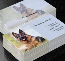 Sie kümmern sich um das Leben des Hundes, Umwelt und Natur, Tierhaltung - Visitenkarten Netprint