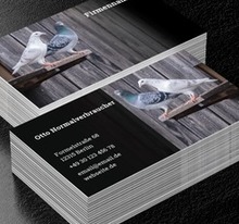 Leidenschaft für die Taubenzucht auf einen Blick, Umwelt und Natur, Tierhaltung - Visitenkarten Netprint