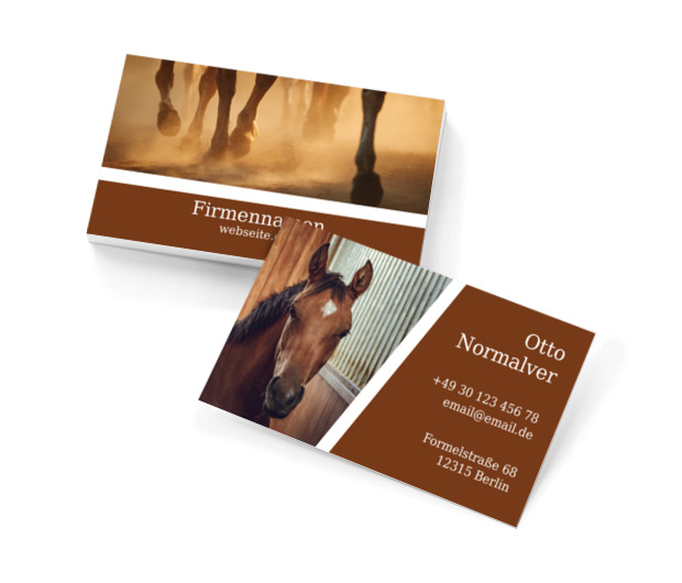 Pferdeliebe in eleganter Darbietung, Umwelt und Natur, Dienstleistungen für Tiere - Visitenkarten Netprint Online Vorlagen