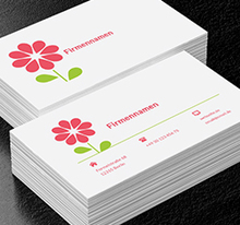 Rosa Gänseblümchen, Umwelt und Natur, Blumenladen - Visitenkarten Netprint